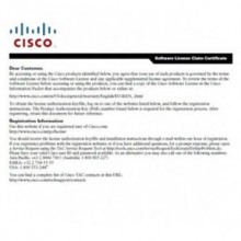 Лицензия Cisco FLASR1-CE-100R